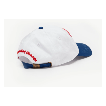 Afends - Frogga Recycled Six Panel Cap - Velocity 21